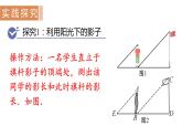 北师大版九年级数学上册课件 4.6　利用相似三角形测高