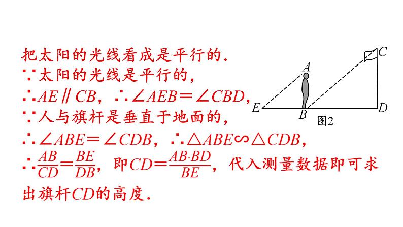 北师大版九年级数学上册课件 4.6　利用相似三角形测高04