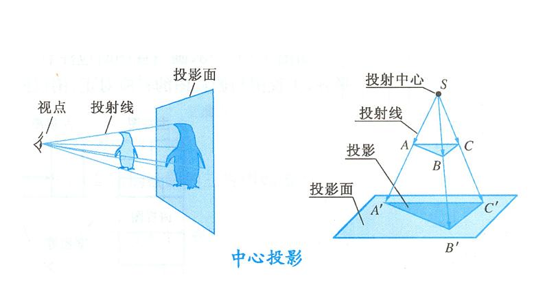 北师大版九年级数学上册课件 5.1.1　中心投影07