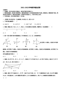 山东省德州市乐陵市2021-2022学年中考适应性考试数学试题含解析