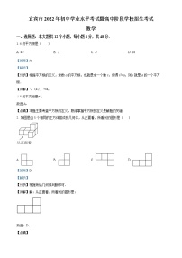 精品解析：2022年四川省宜宾市中考数学真题（解析版）