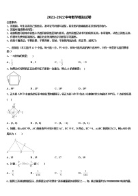 山东省临沭县青云镇中心中学2021-2022学年中考数学猜题卷含解析