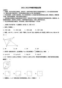 山东省泰安泰山区七校联考2022年十校联考最后数学试题含解析