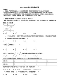 山东省泰安市肥城市湖屯镇初级中学2022年中考数学最后冲刺浓缩精华卷含解析