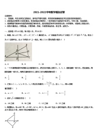 山东省泰安市东平县实验中学达标名校2021-2022学年中考数学押题卷含解析