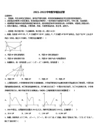 山东省济南市2021-2022学年中考数学模拟试题含解析