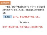 北师大版八年级数学上册课件 2.2.2　平方根