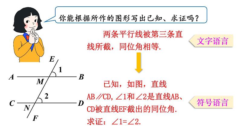 北师大版八年级数学上册课件 7.4　平行线的性质第4页