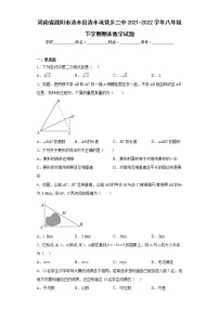 河南省濮阳市清丰县清丰巩营乡二中2021-2022学年八年级下学期期末数学试题-(含答案)