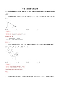 初中数学1 探索勾股定理随堂练习题