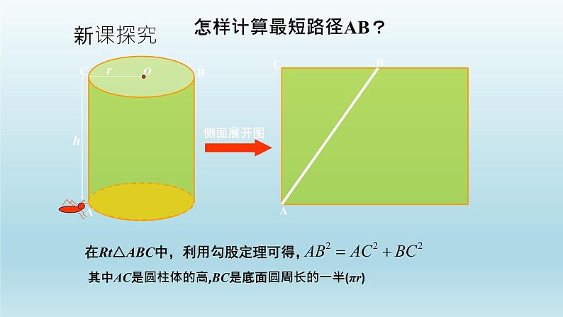 鲁教版五四制七年级数学上册第三章3 勾股定理的应用举例课件04