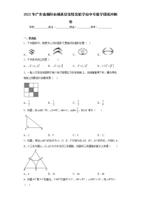 2022年广东省揭阳市揭西县宝塔实验学校中考数学模拟冲刺卷(含答案)