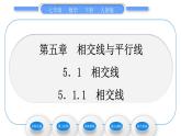 人教版七年级数学下第五章相交线与平行线5.1.1　相交线习题课件