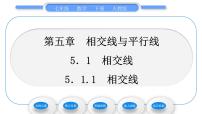 人教版七年级下册5.1.1 相交线习题ppt课件