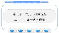 人教版七年级下册8.1 二元一次方程组习题课件ppt