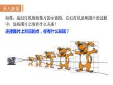 沪科版九年级数学上册课件 22.4  图形的位似变换