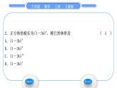 人教版八年级数学上第十四章整式的乘法与因式分解14.1.2　幂的乘方 习题课件
