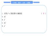 人教版八年级数学上第十四章整式的乘法与因式分解基本功强化训练(二)　幂的运算 习题课件