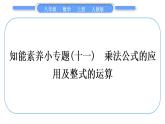 人教版八年级数学上第十四章整式的乘法与因式分解小专题(十一)　乘法公式的应用及整式的运算 习题课件