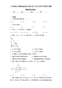 广东省江门市鹤山市昆仑学校2021-2022学年七年级下学期期末综合训练二(含答案)