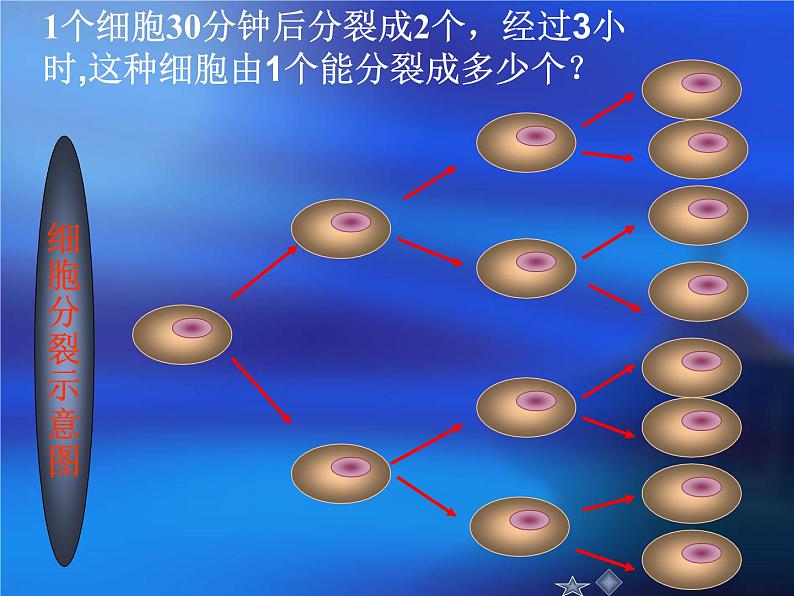 鲁教版（五四制））六年级上册《有理数乘方》课件02