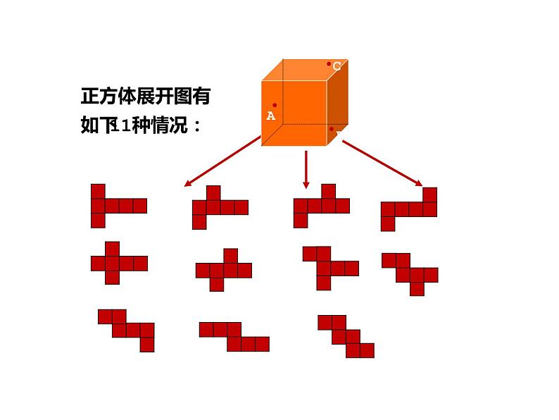 鲁教版（五四制））六年级上册《展开与折叠》课件第5页