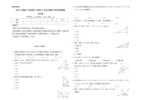 初中数学第十一章 三角形综合与测试练习