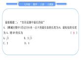 人教版九年级数学上第二十四章圆知能素养小专题(十)　圆中的最值问题习题课件