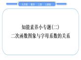 人教版九年级数学上第二十二章二次函数知能素养小专题(二)　二次函数图象与字母系数的关系习题课件