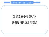 人教版九年级数学上第二十二章二次函数知能素养小专题(六)　抛物线与四边形的综合习题课件