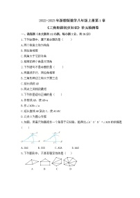 初中第1章 三角形的初步知识综合与测试习题