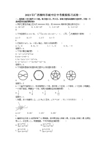 2023年广西柳州市城中区中考模拟练习试卷一(2份打包，教师版+原卷版)