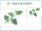 初中数学华东师大版（2012）八年级上册 第十三章 13.2.1 全等三角形 13.2.2 全等三角形的判定条件 课件