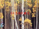 初中數(shù)學(xué)華東師大版七年級上冊 第三章 3.1.3 列代數(shù)式 課件