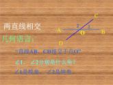 初中数学华东师大版七年级上册 第五章 5.1.2 垂线 课件