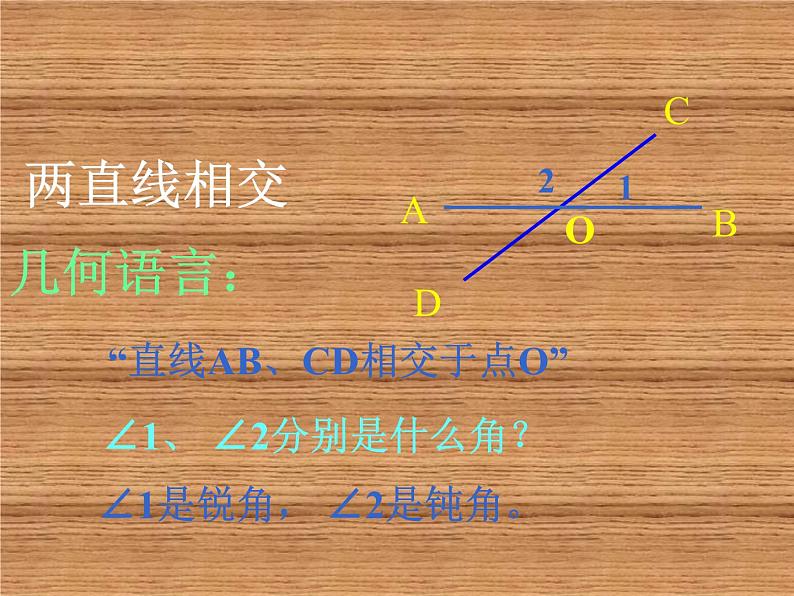 初中数学华东师大版七年级上册 第五章 5.1.2 垂线 课件第3页