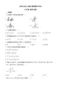 湖南省长沙市雅礼中学2018—2019学年八年级上学期期中数学试题