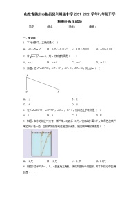 山东省德州市临邑县兴隆镇中学2021-2022学年八年级下学期期中数学试题(含答案)