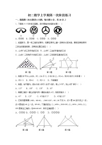 江苏省南京师范大学附属中学江宁分校2022--2023学年八年级数学上册第一次阶段练习(含答案)