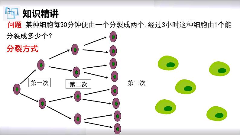 初中数学冀教版七年级上册 1.10 有理数的乘方 课件第4页