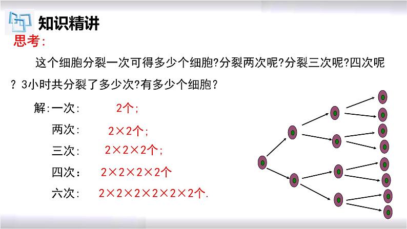 初中数学冀教版七年级上册 1.10 有理数的乘方 课件第5页