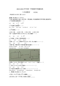 河南省开封市兰考县2022—2023学年八年级上学期第一次月考数学试题(含答案)