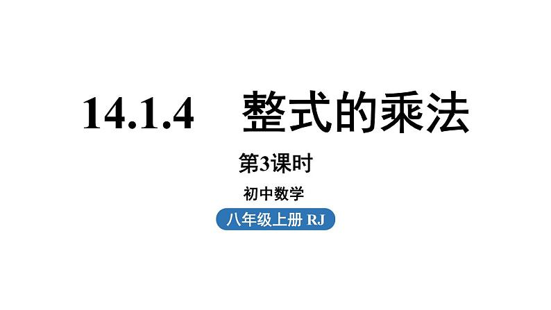 14.1 整式的乘法课时6 初中数学人教版八年级上册实用课件01