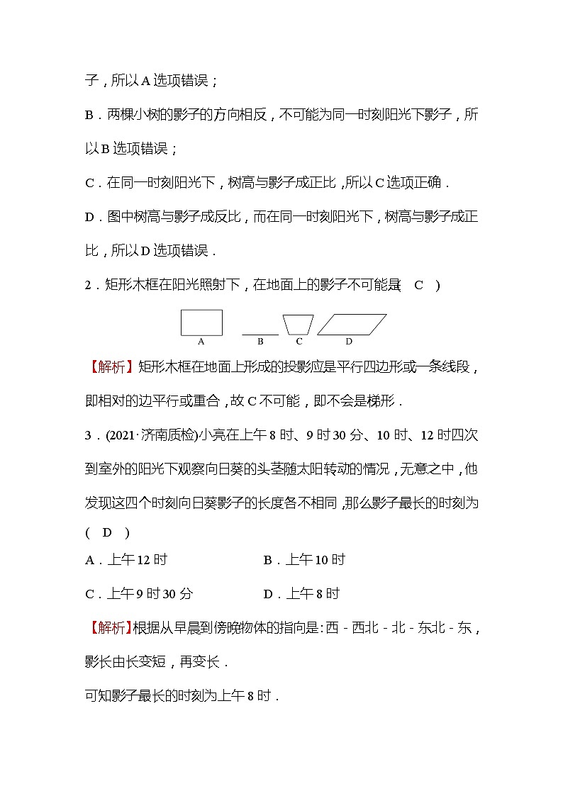 5.1 投影 第2课时 北师大版九年级数学上册作业1 (含答案)02