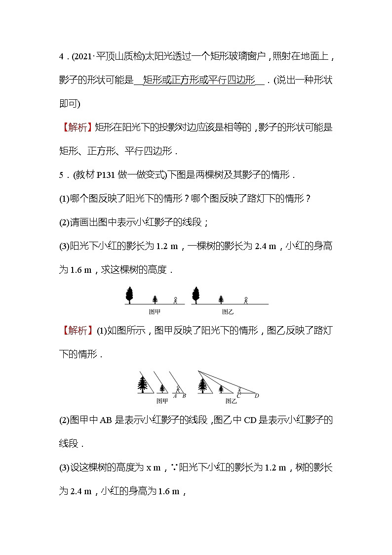 5.1 投影 第2课时 北师大版九年级数学上册作业1 (含答案)03