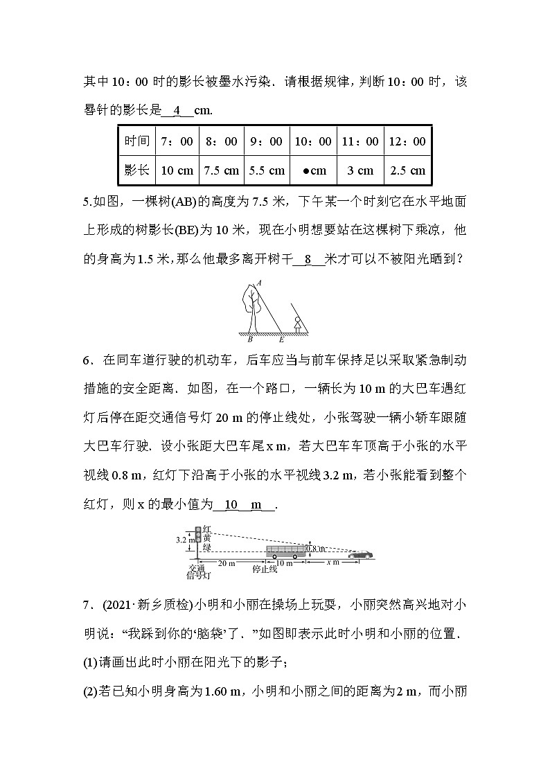 5.1 投影 第2课时 北师大版九年级数学上册作业2 (含答案)02