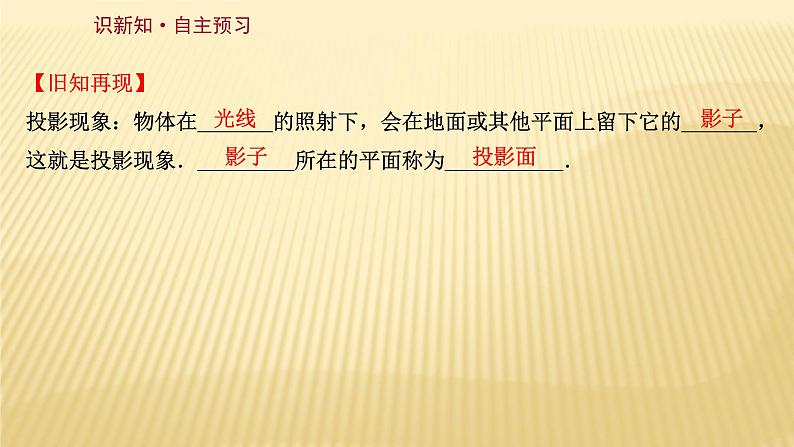 5.1 投影 第2课时 北师大版九年级数学上册课件02