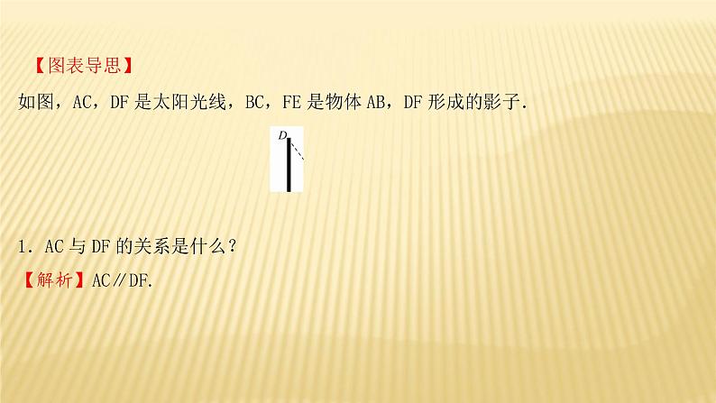 5.1 投影 第2课时 北师大版九年级数学上册课件06