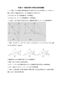 2022-2023学年八年级数学上学期期中分类复习专题02 勾股定理与全等结合的压轴题（含答案解析）