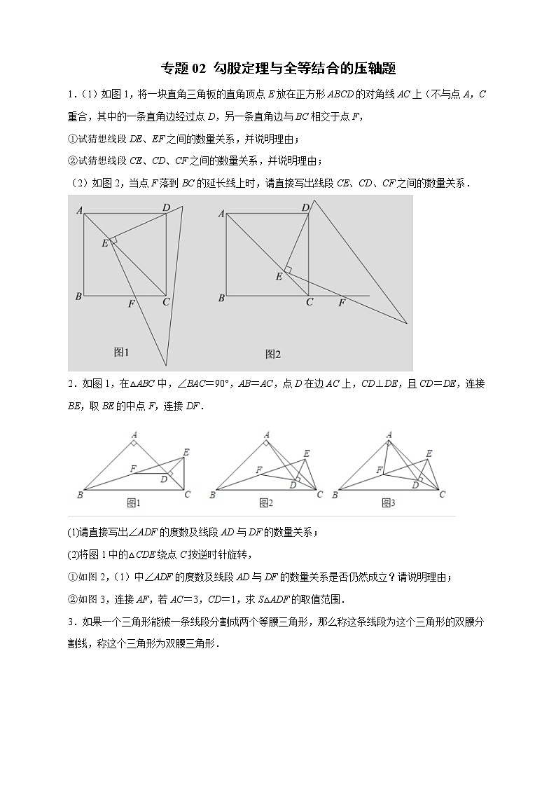 2022-2023学年八年级数学上学期期中分类复习专题02 勾股定理与全等结合的压轴题（含答案解析）01